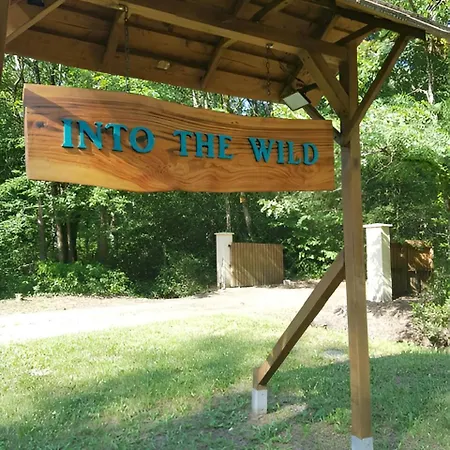 Into The Wild - Nos 5 