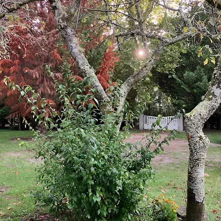 Into The Wild - Nos 5 