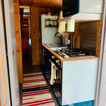 Apartment Into The Wild - Nos 5 