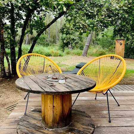 Apartment Into The Wild - Nos 5 