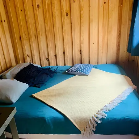 Apartment Into The Wild - Nos 5 