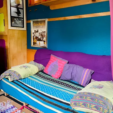 Apartment Into The Wild - Nos 5 