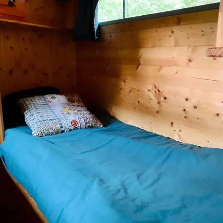 Apartment Into The Wild - Nos 5 