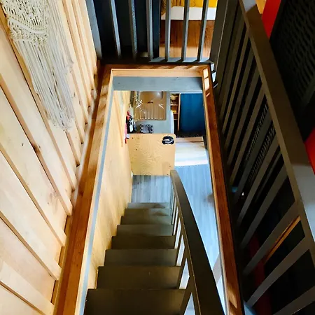 Apartment Into The Wild - Nos 5 