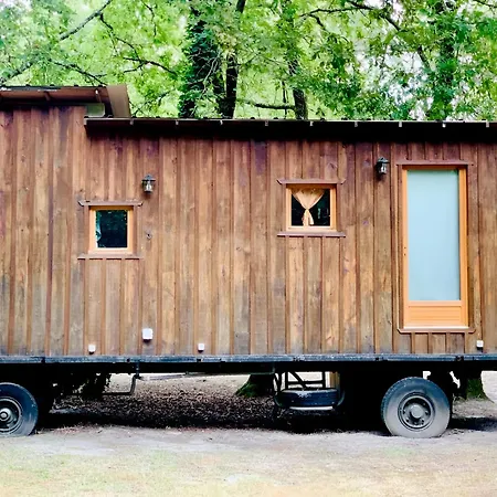 Apartment Into The Wild - Nos 5 