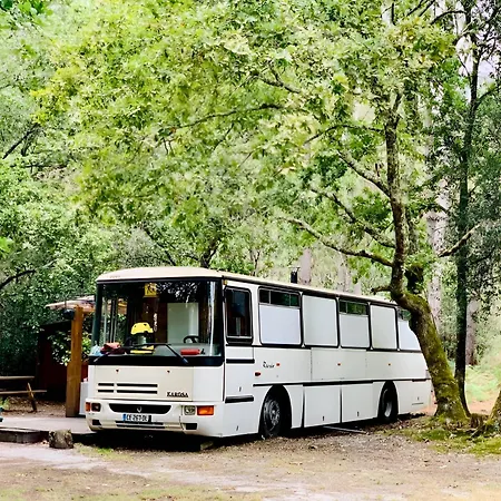 Lejlighed Into The Wild - Nos 5 
